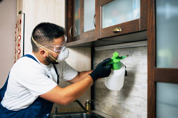 Best Affordable Pest Control Services  in Somerville, NJ