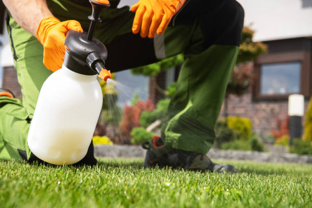 Best Pest Prevention Services  in Somerville, NJ