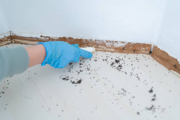 Somerville, NJ Pest Control Company