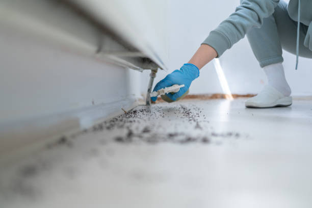 Best Residential Pest Control  in Somerville, NJ