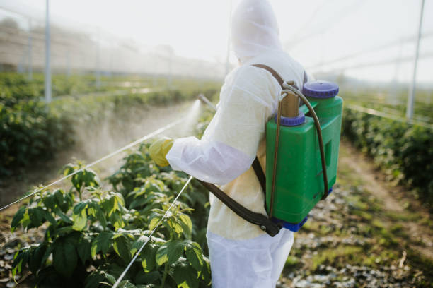 Best Pest Control Near Me  in Somerville, NJ